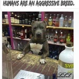 Meet your Posher, Rodney